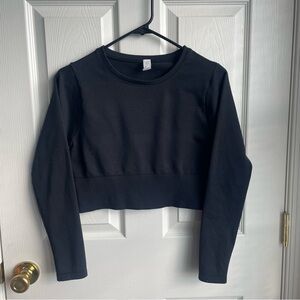 OFFLINE By Aerie Sidewalk Seamless Long Sleeve Cropped T-shirt